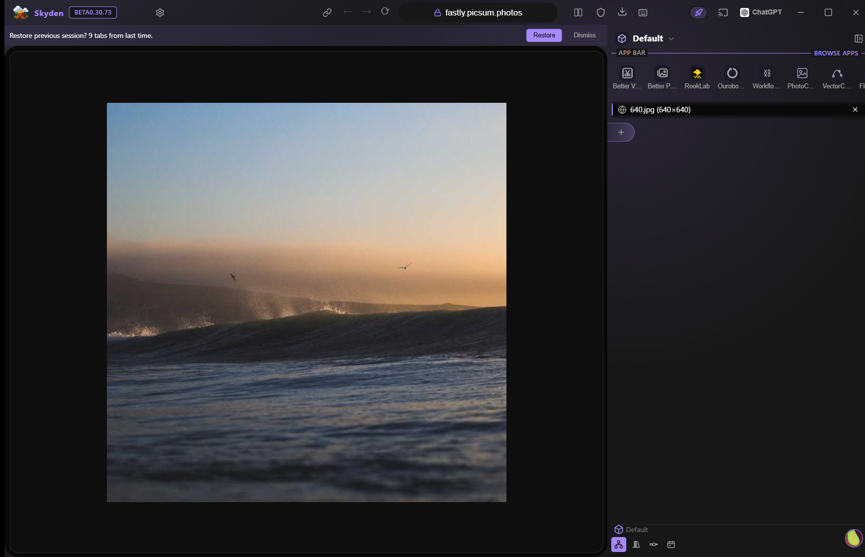 Skyden browser showing the full craft-app launcher with all twelve apps